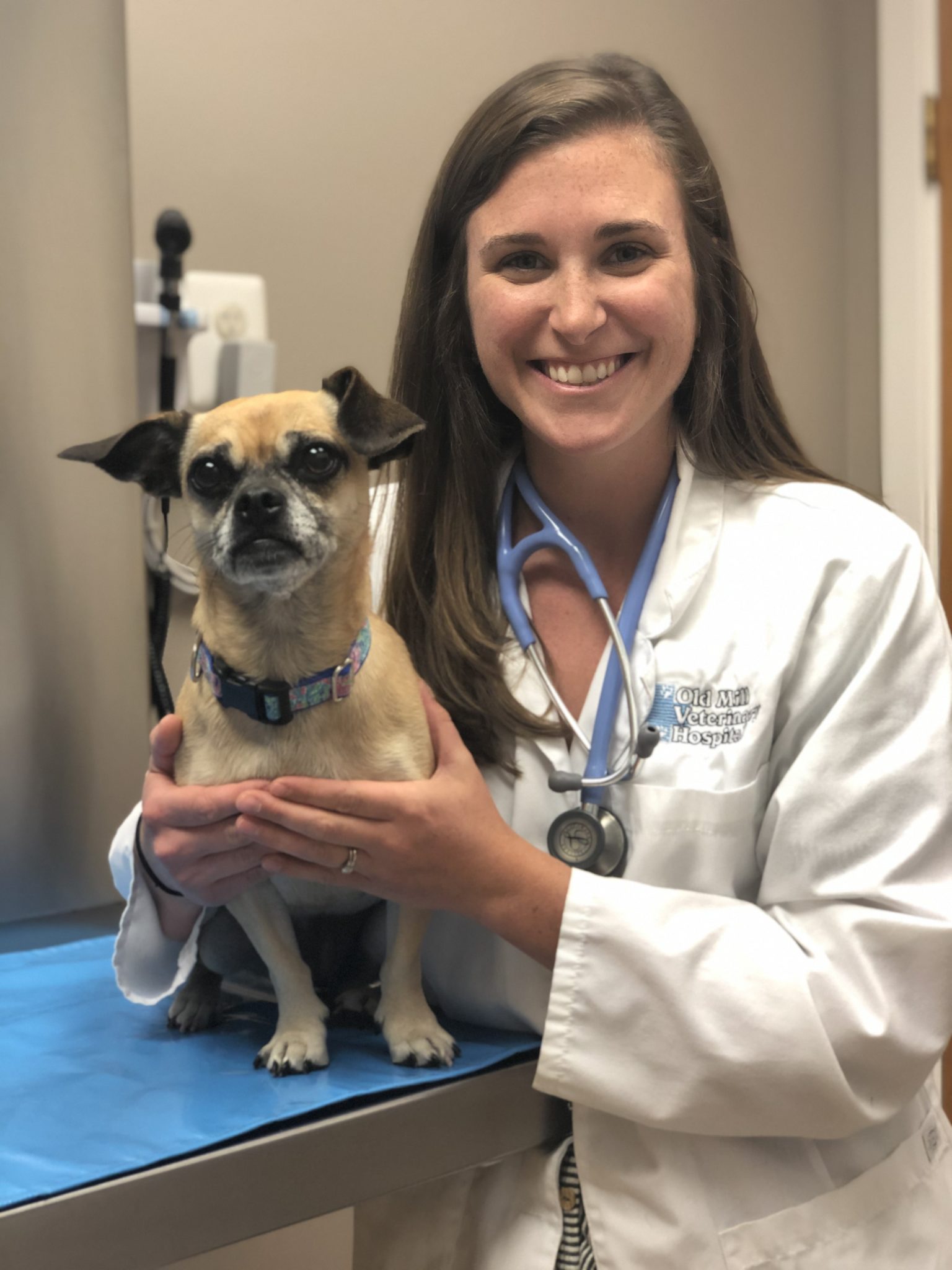 Our Veterinary Doctors Old Mill Veterinary Hospital